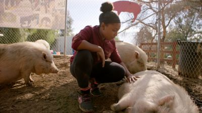 Genesis the Amazing Animal Ally