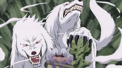 Roar and Howl! The Ultimate Tag Team