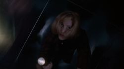 Ghost in the Machine