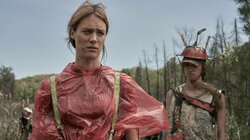 Survival is Insufficient