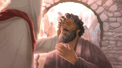 Matthew 8; Mark 2-4; Luke 7