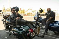 What Comes of Handlin' Snakeskin